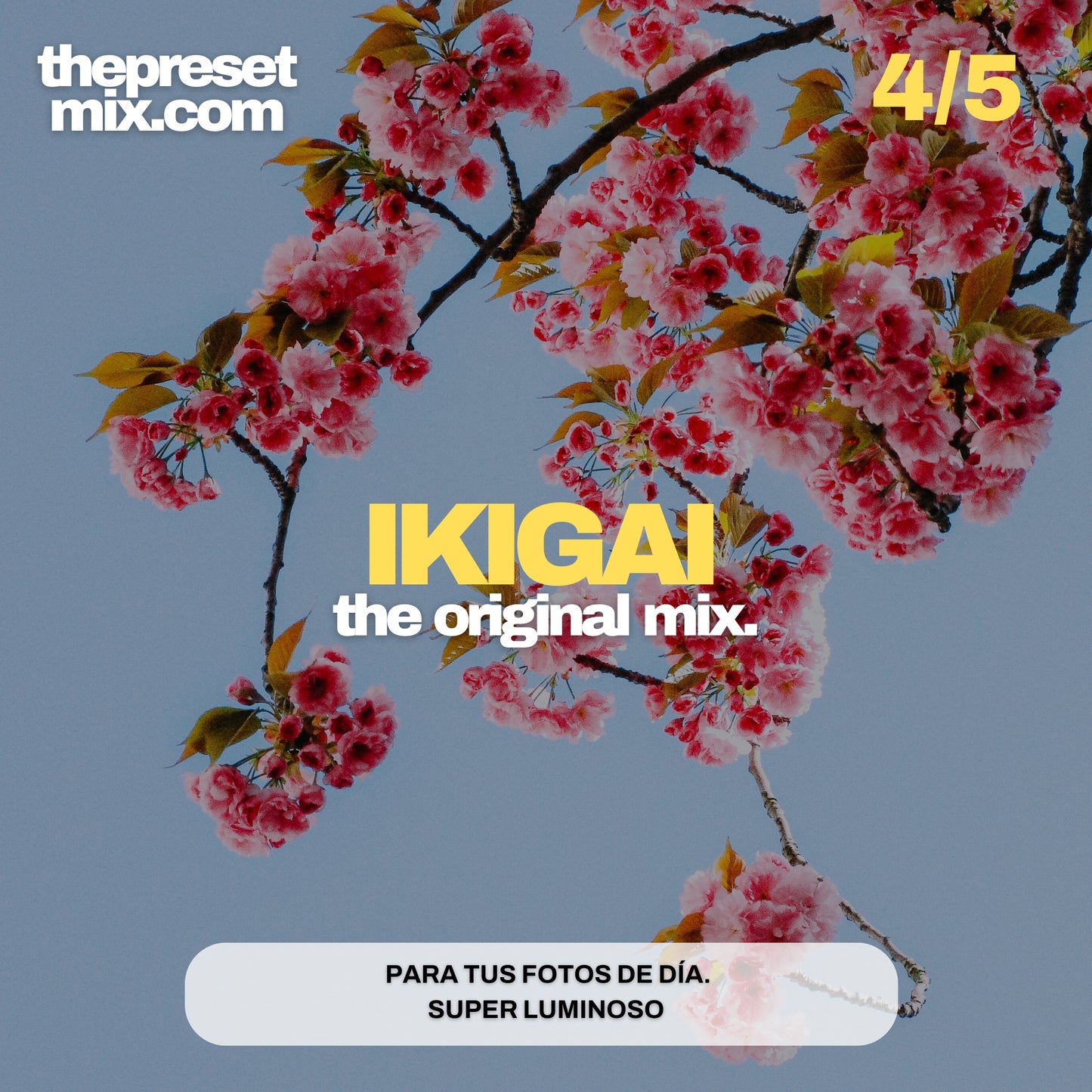 “THE ORIGINAL MIX”