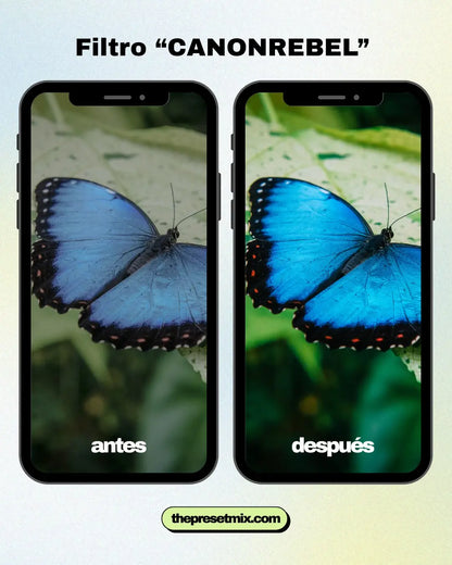 “THE ORIGINAL MIX”