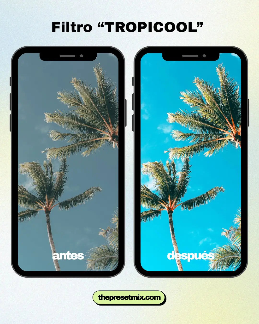 “THE EARTH SERIES”