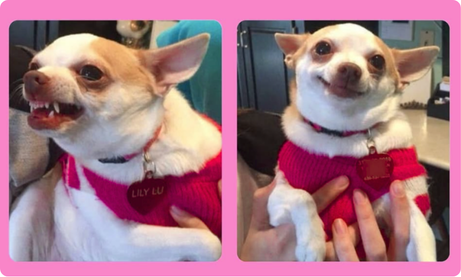 La misma foto antes y después de editarla con los favs